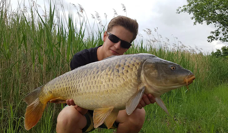 Ananasová dumbelka v akci