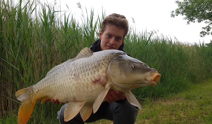 Další skvělý úspěch