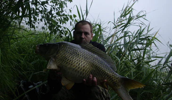 Opět bodovala Gigantica