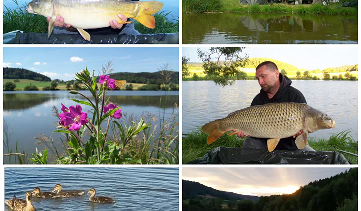 Soukromý revír v Jihočeském kraji