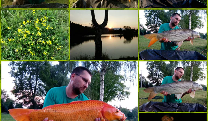 Kingcarp a jeho úlovky