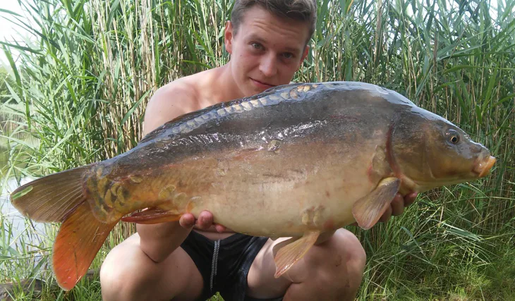 Krátké červencové vycházky