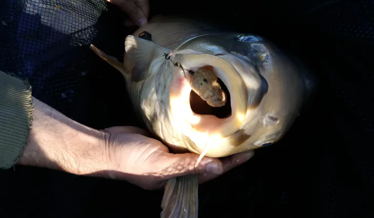 Ve Znamení Kapra - na Jezeru část.2