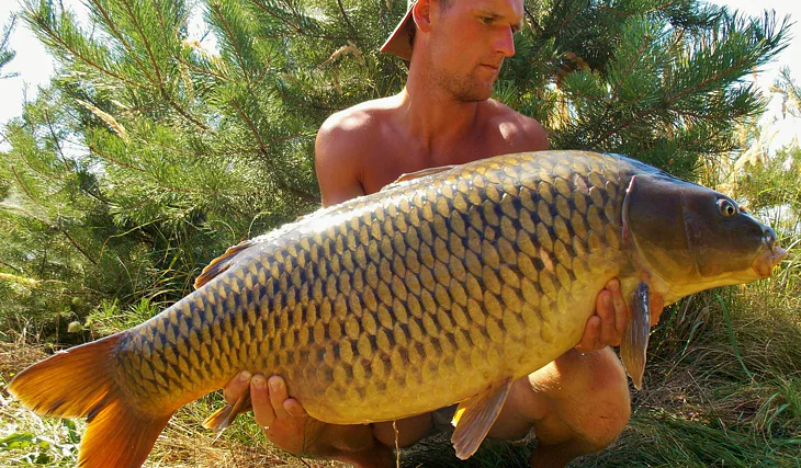 SNY SE PLNÍ!!! Díl první: