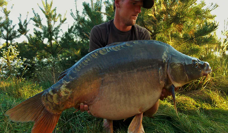 SNY SE PLNÍ!!! Díl druhý: