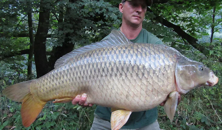 Extáze není jen pojem