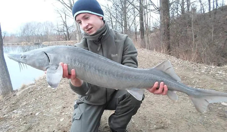 Chladná voda plní sny