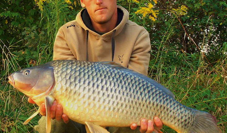 Náznaky podzimu na řece Labi!