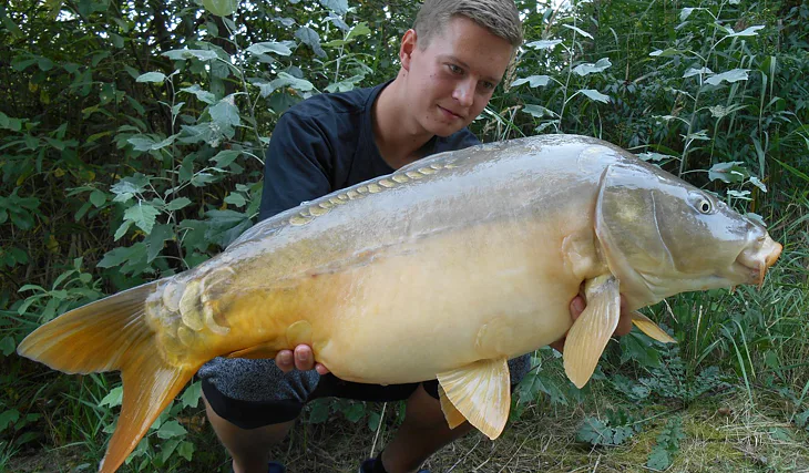 Víkendové vycházky