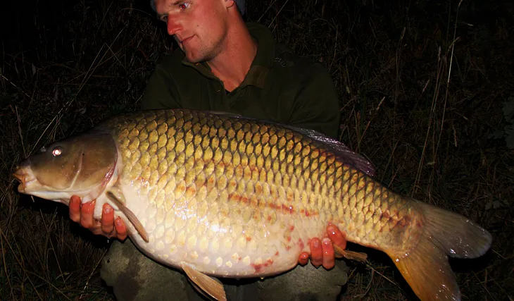 Nevzdávat se je kaprařina!