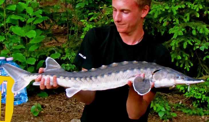 Shrnutí sezóny 2016