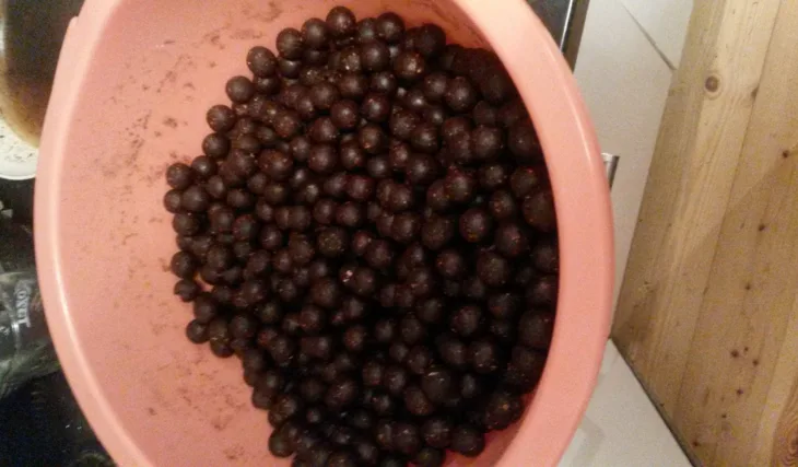 Dobrá rada nad zlato