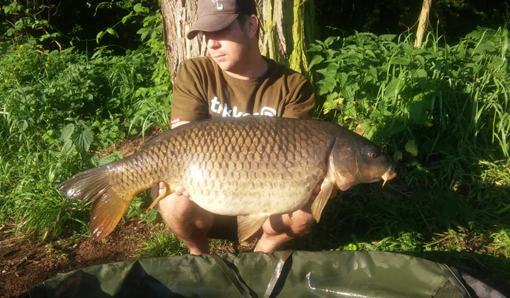Criticals Gigantica
