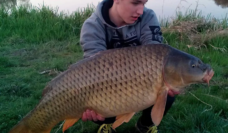 Menší revír v blízkosti domova