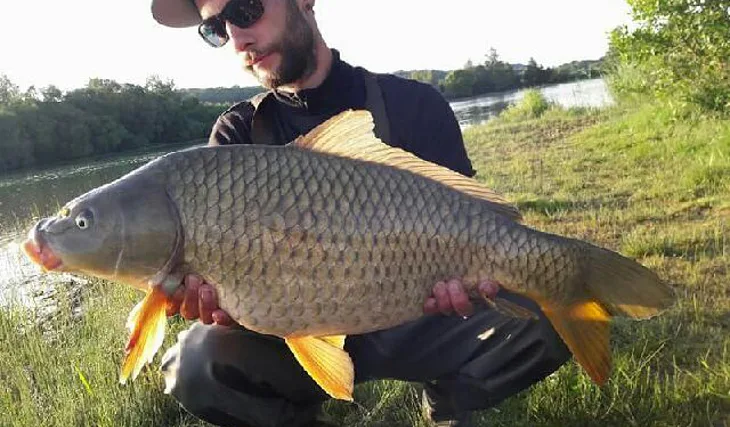 Svazovka v Mohelnici