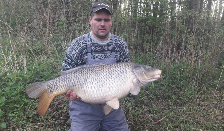 Rok 2017 v znamení osobákov