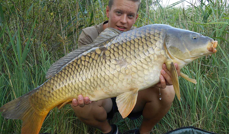 První dva týdny prázdnin