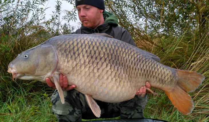 Noční Můra v akci