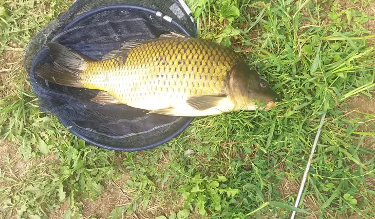Boilies 3XL