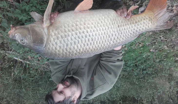 První lepší podzimní vlaštovka