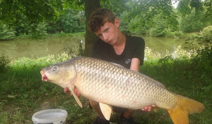 Jeseter na feederový prut