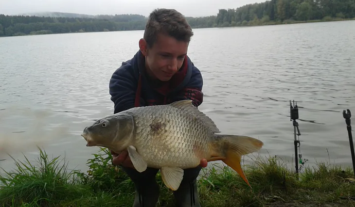 Krátkodobé vycházky