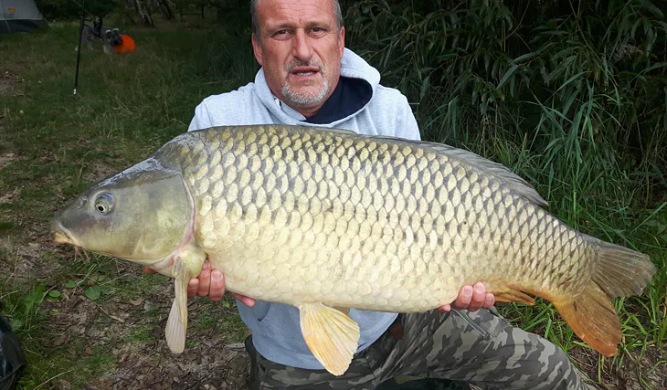 Gigantica!