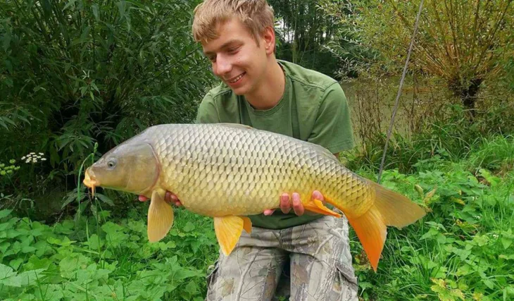 Dominik na pískovně