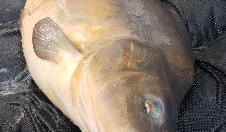 Spanilá jízda v roce 2018 pokračuje !!!