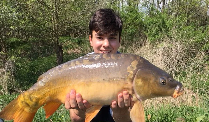 První Filipova výprava