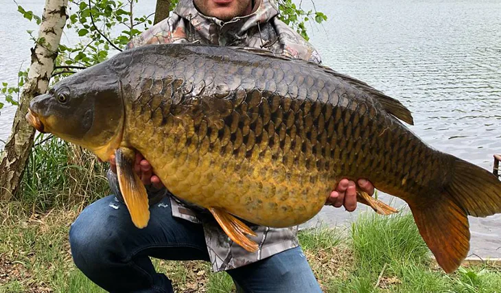 Méně je nekdy vice!