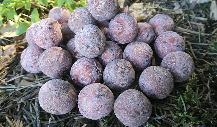 Splnění snu s Extasy 1/2