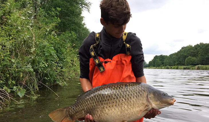 Criticals Devill v akci