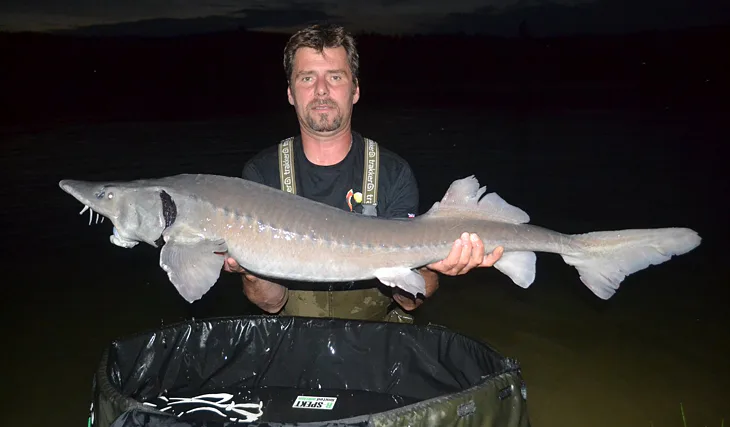 Jeseteří radovánky