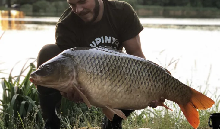 20h vycházka s přítelkyní