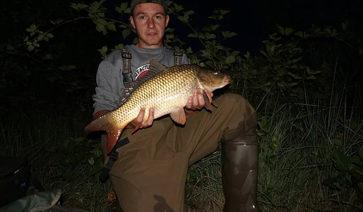Gigantica