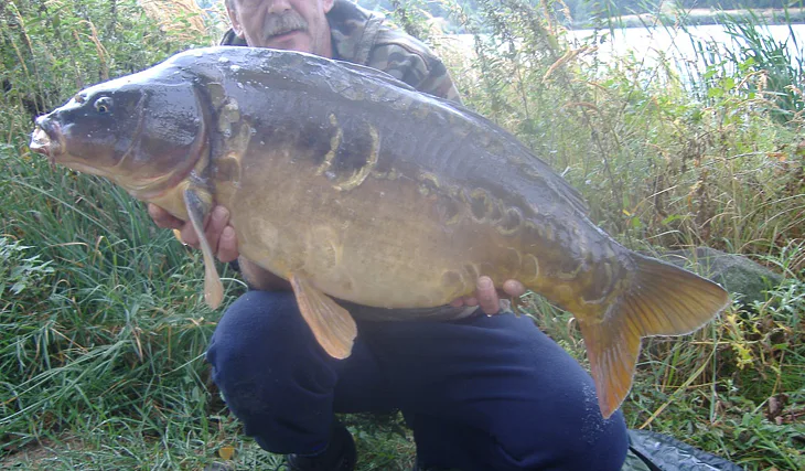 Krásný týden u vody