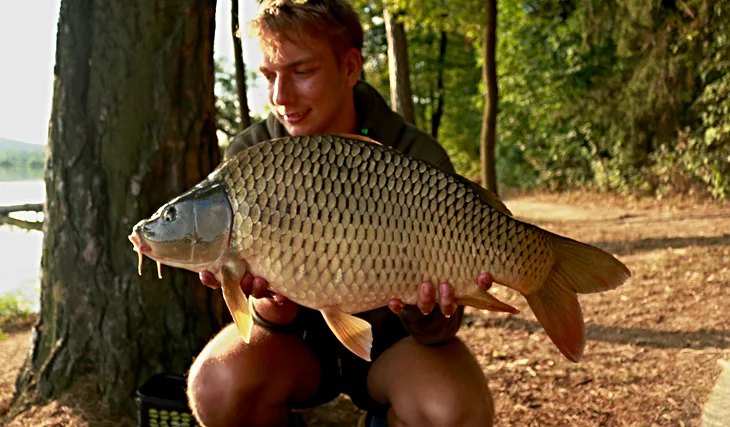 Krátká vycházka z léta