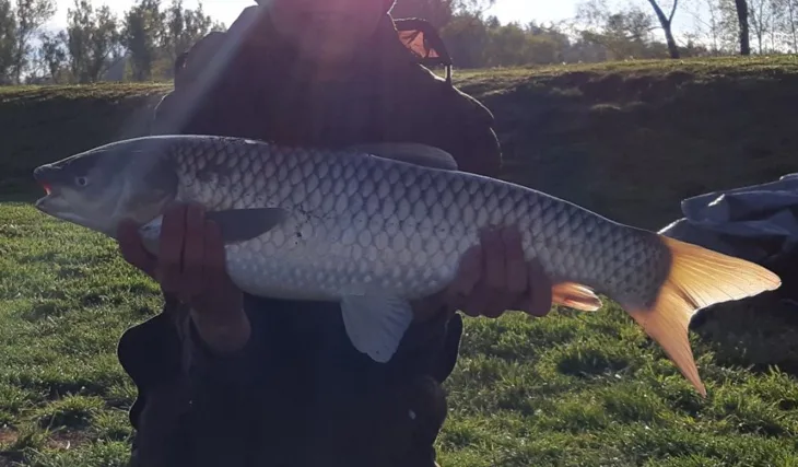 Studijní volno u svazové vody