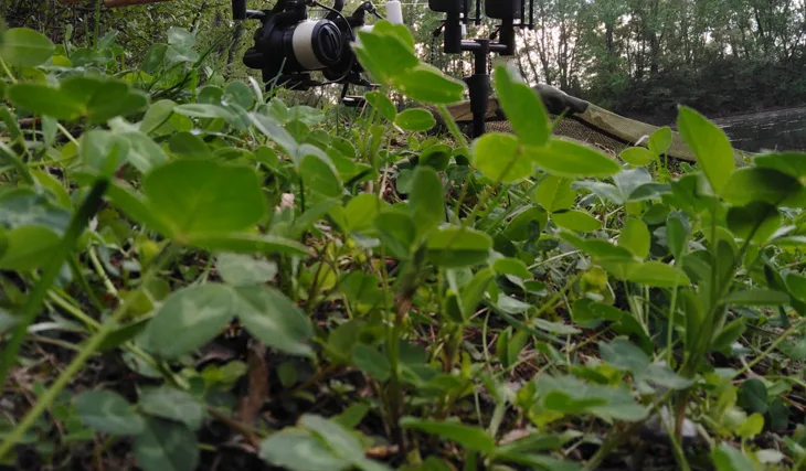 Velikonoční svátky