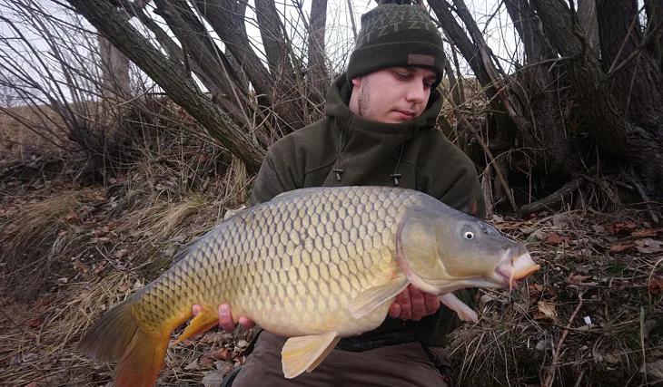 Tříhodinová vycházka