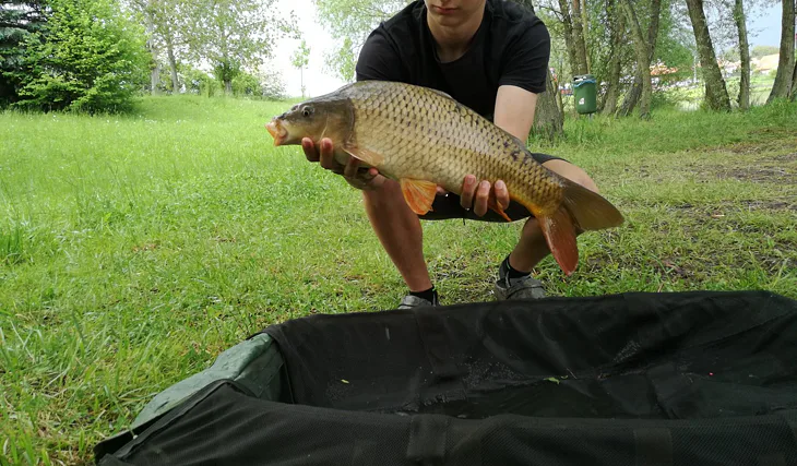 Krátká odpolední vycházka