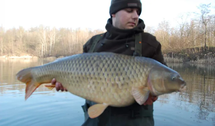 Dva šupináči z dubna