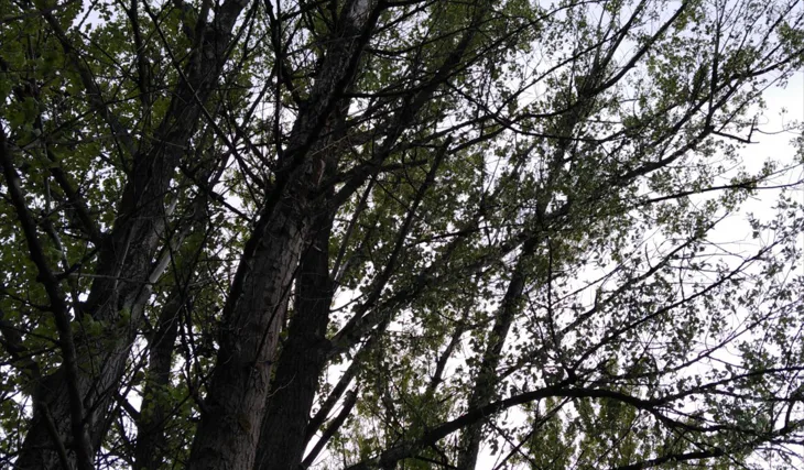 Aj s krátkou výpravou môžte byť úspešný.