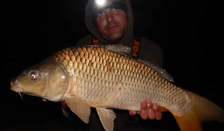 Gigantica!