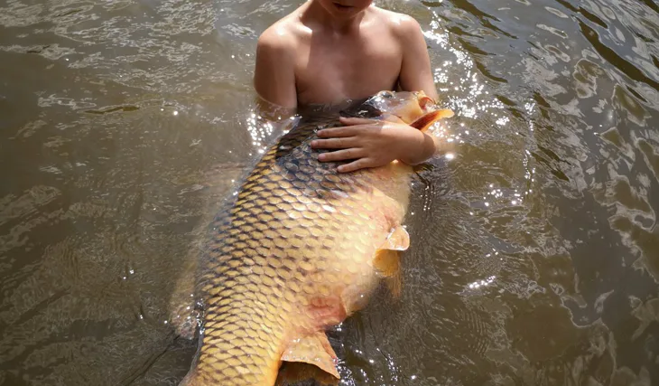 Jihočeská přehrada