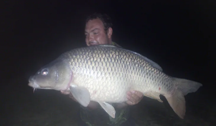 GIGANTICA...