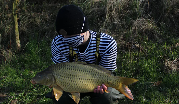 Salmon peach není pozadu!