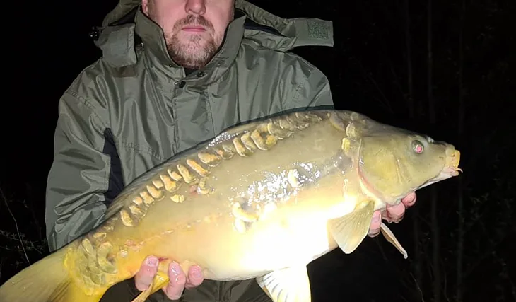 Boilies v dipu Salmon & Peach