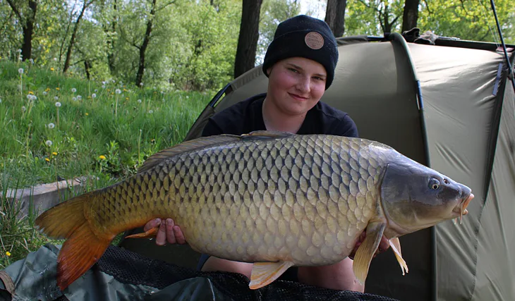 Devill krill na prvním místě